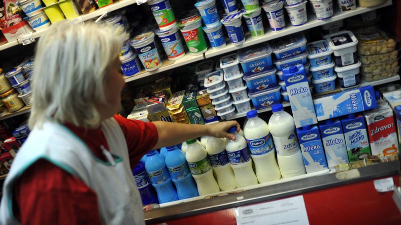 Srbija: Samo u 6 odsto slučajeva više aflatoksina u mleku od dozvoljenog