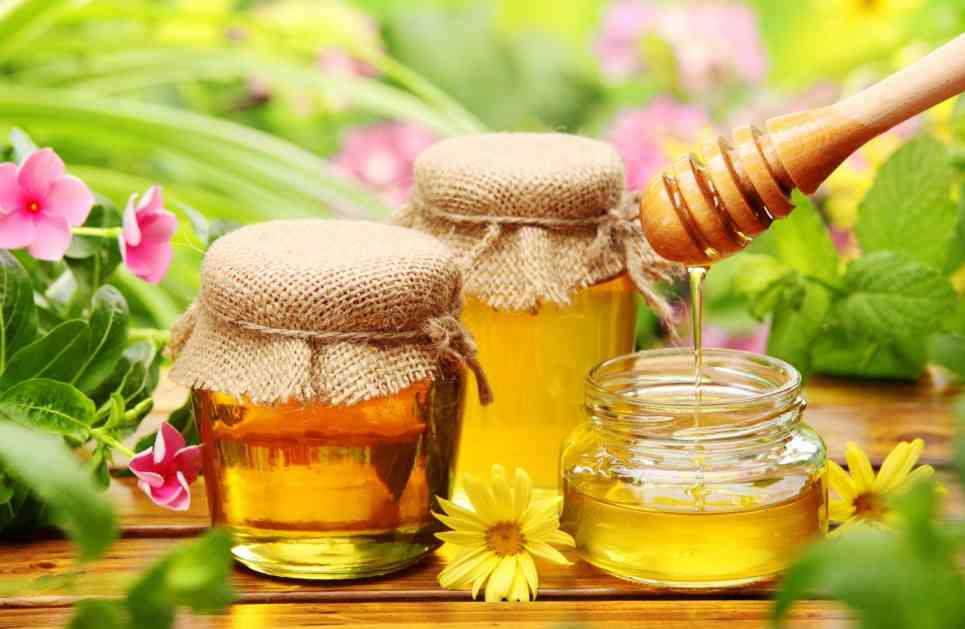 Srbija daje novac za gajenje ljekovitog bilja i proizvodnju meda