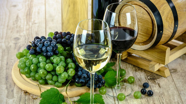 Srbija dobija novi institut za vinogradarstvo i vinarstvo