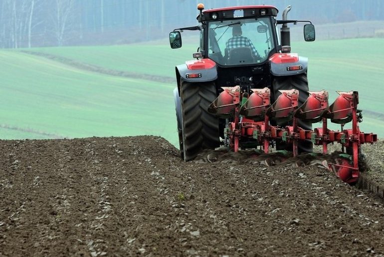 Srbija imala rekordan izvoz poljoprivrednih proizvoda od 4,1 milijardu dolara