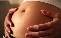 
					Srbija izručila Holandiji osumnjičenu trudnicu 
					
									