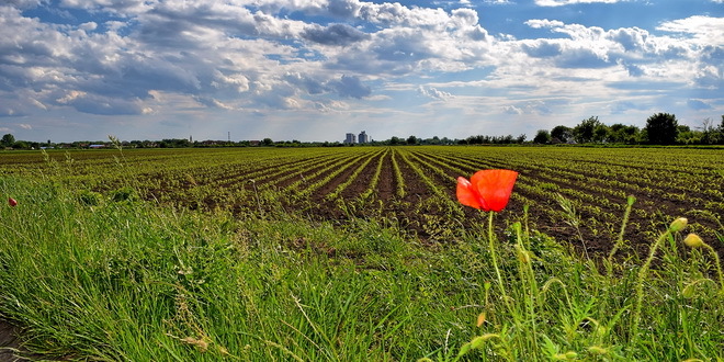 Srbija jedan od lidera u digitalnoj poljoprivredi
