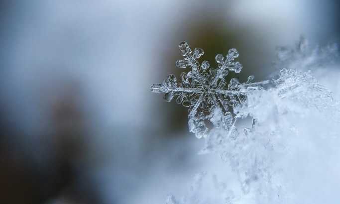 Srbija pod snegom, opasnost od preloma grana ili stabla