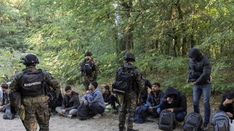 Srbija pojačava patrole duž mađarske granice radi ilegalnih prelazaka