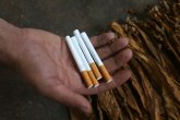 Srbija u Japan najviše izvozi cigarete, a uvozi mašine