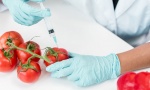Srbija ustaje protiv GMO