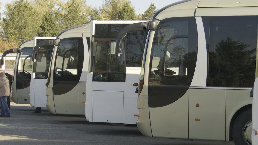 Srbiji nedostaje gotovo 20 hiljada vozača