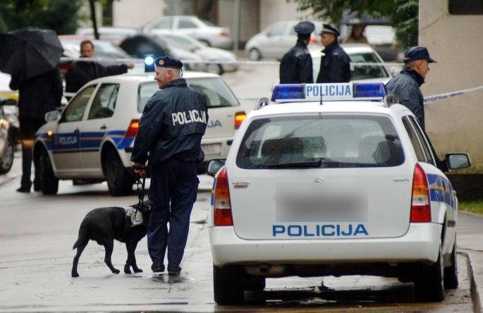 Srbin uhapšen u Hrvatskoj: Bežao od policije, pa kombijem SLETEO S PUTA! U vozilu bilo 13 ljudi (FOTO)