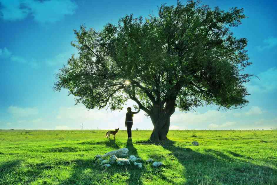 Sreća je poput drveta koje treba vodu i zrak, njoj treba vjerovanje u Allaha i Sudnji dan
