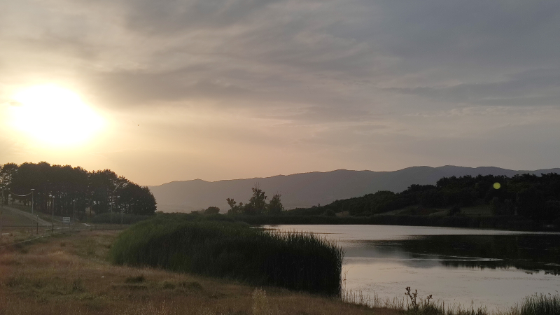 Srednjoškolci sade 3.000 borova na Aleksandrovačkom jezeru: stiže i ministarka Pavkov