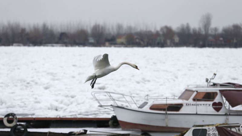 Srpski ledolomac brani Đerdap, velike štete na Dunavu od leda