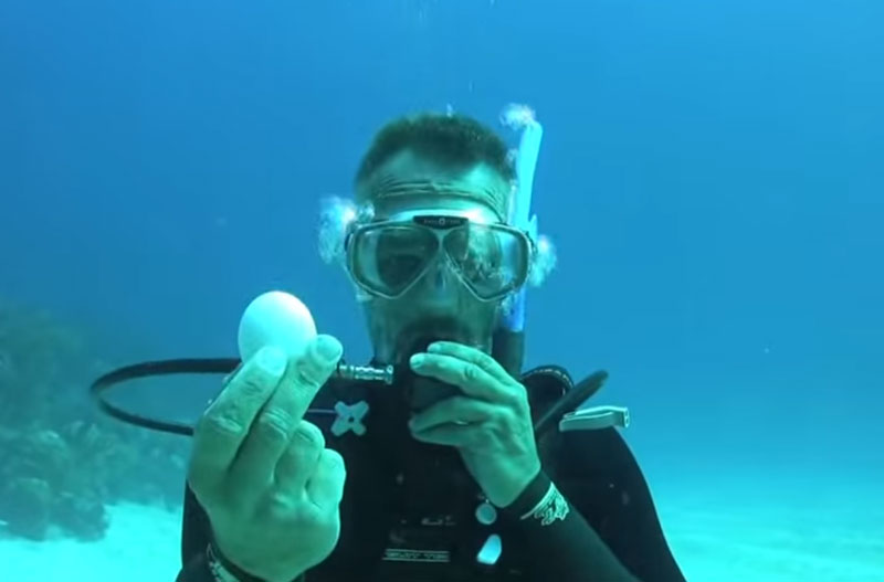 Šta se dešava kad razbijete jaje na 20 metara morske dubine? VIDEO