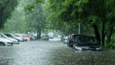 Stanje na novosadskim ulicama: Nekoliko ulica zatvoreno zbog obilnih padavina
