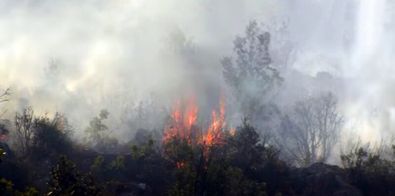 Stanje prirodne nesreće u Neumu zbog požara u zaleđu