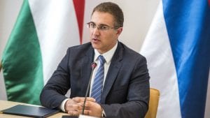 Stefanović: Članstvo Kosova u Interpolu bilo bi presedan