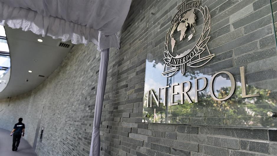 Stefanović pisao svim članicama Interpola zbog Kosova