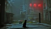 Stiže nova igra  glavni junak napuštena mačka VIDEO
