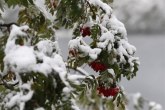 Stiže sneg u Srbiju