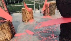 Studenti pejzažne arhitekture dizajnirali instalaciju o seči stabala na Kalemegdanu 