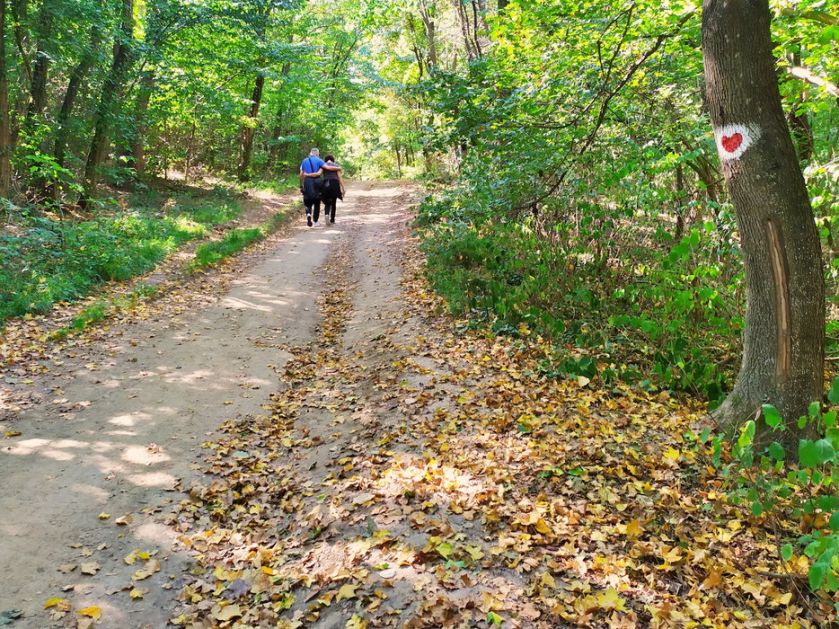 Studija: Veza ljudi sa prirodom opala za 60 odsto u poslednjih 200 godina