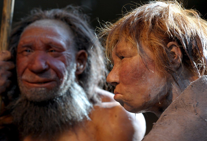 Studija pokazala - neandertalci se hranili ribom i fokama