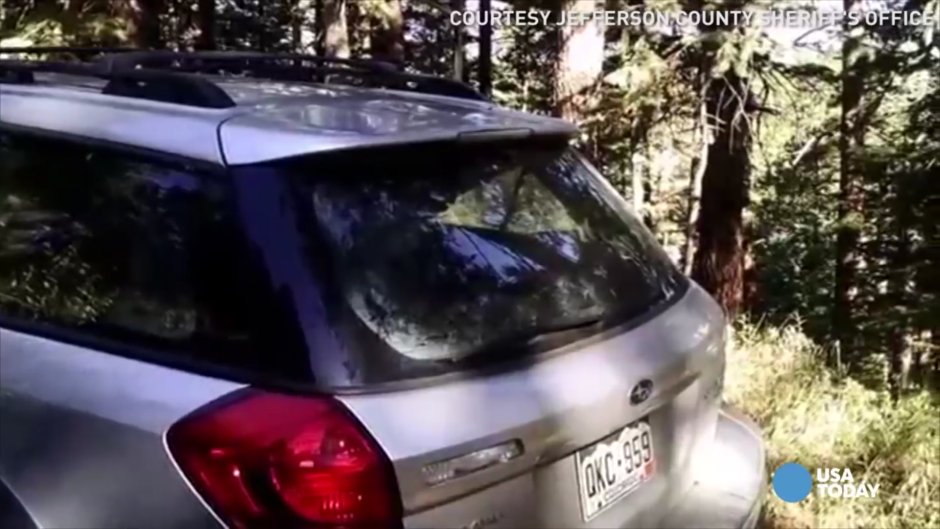 Subaru u borbi s medvedom (VIDEO)