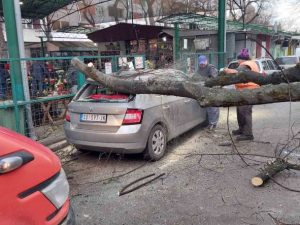Subotica: Automobil stradao pod naletima vetra (FOTO)