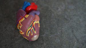 Subotica: Od bolesti srca u Severnobačkom okrugu godišnje umre više od 1500 osoba
