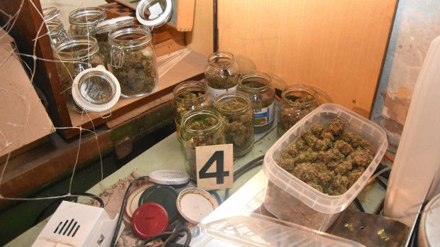 Subotica, pronađena laboratorija za uzgoj marihuane