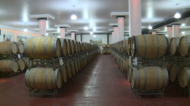 Subotički vinari već koriste podsticaje države