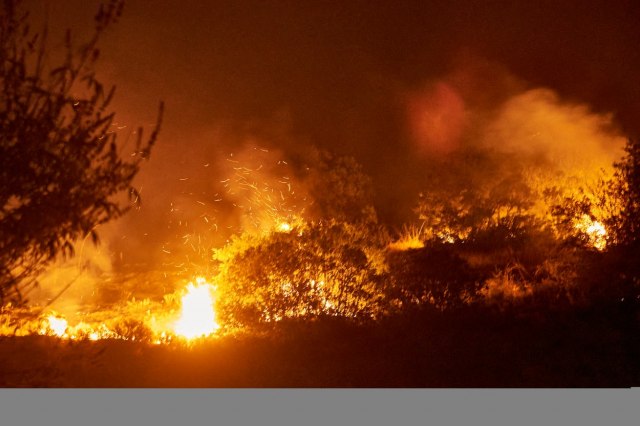 Šumski požar u Kepsutu, vatrogasne ekipe na terenu