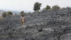 Šumski požari i Sirija: Pogubljeno 24 ljudi, osuđeni za izazivanje požara 2020.