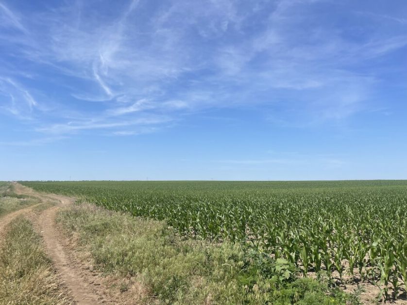 Sunčano i veoma toplo, temperatura do 38 stepeni, crveni meteo-alarm u pojedinim delovima zemlje