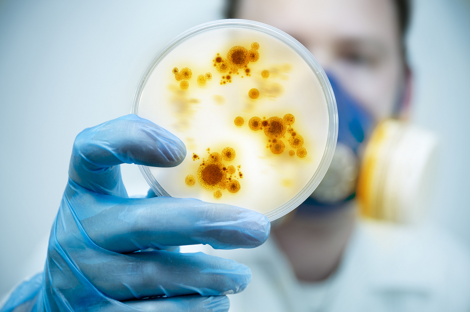 Superbakterije - najveća pretnja po zdravlje?