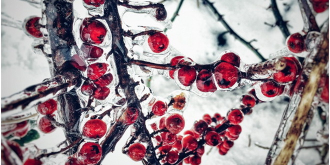 Suvo i hladno, temperature oko 0 stepeni