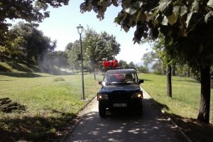 Suzbijanje krpenja i larvi komaraca na teritoriji opštine Aleksinac