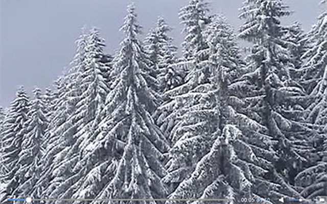 Sve niže temperature u BiH, na Vlašiću pao sneg