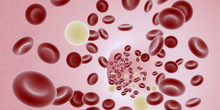 Danas je Svetski dan hemofilije
