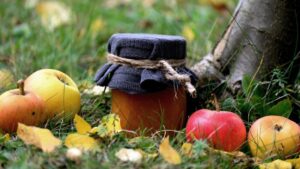 Svetski dan jabuke: Voće bogato vlaknima