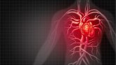 Svetski dan srca: U Srbiji više od 50.000 ljudi godišnje izgubi borbu sa kardiovaskularnim bolestima