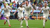 Svetsko prvenstvo u fudbalu 2022: Od očaja, do sjaja i nazad - Srbija ispustila pobedu protiv Kameruna