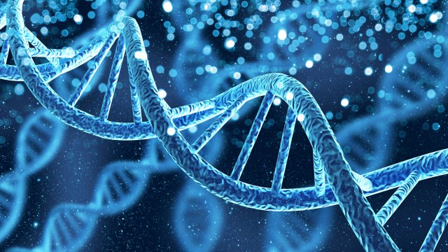 Svi imamo 2.000 genetskih defekata: Postoji li gen za ubistvo“?