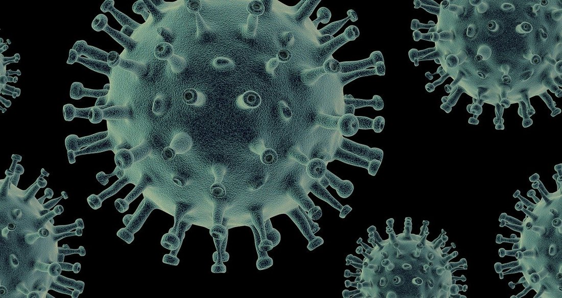 Svi virusi se duže zadržavaju na niskim temperaturama