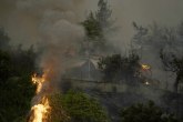 Atina bi zbog požara mogla da ostane u mraku; hiljade ljudi pobeglo iz svojih kuća VIDEO/FOTO