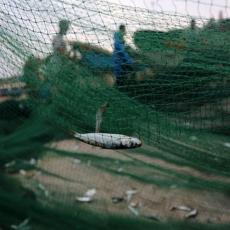 TINJAJUĆI RAT BUKNUO: Ribari potapaju do dna loše odnose