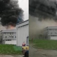 TRAGEDIJA U NOVOM SADU! Požar progutao fabriku, POGINULE DVE OSOBE, vatrogasci lokalizovali vatrenu stihiju