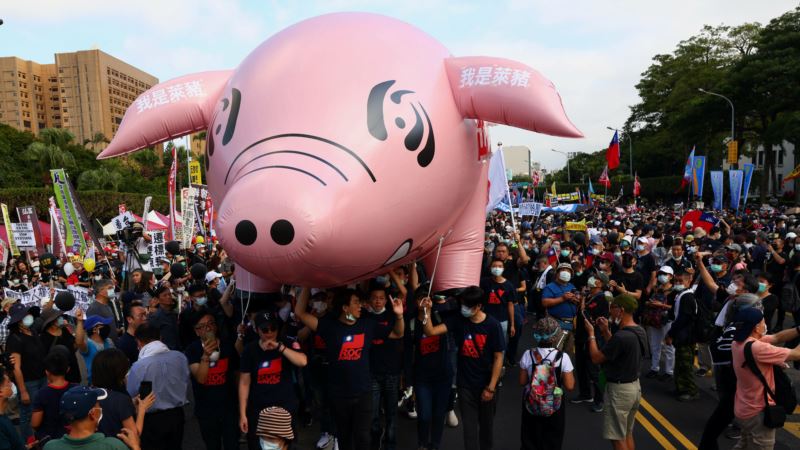 Tajvan: Hiljade ljudi na protestu protiv uvoza svinjskog mesa iz SAD 
