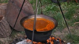 Takmičenje u kuvanju riblje čorbe u Kačarevu