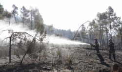 Talas šumskih požara na severu Španije pod kontrolom
