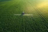 Tanasković: Prevarantima zabrana bavljenja poljoprivredom